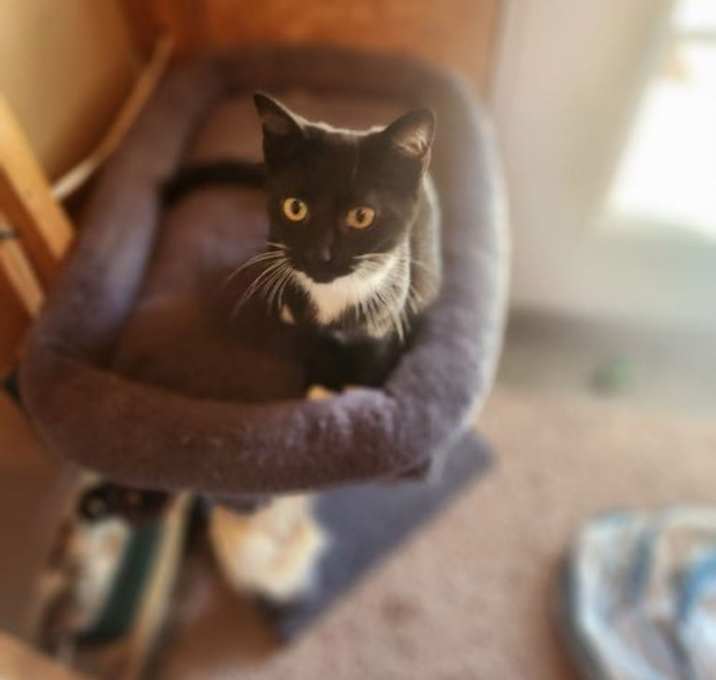 Photo of Luna