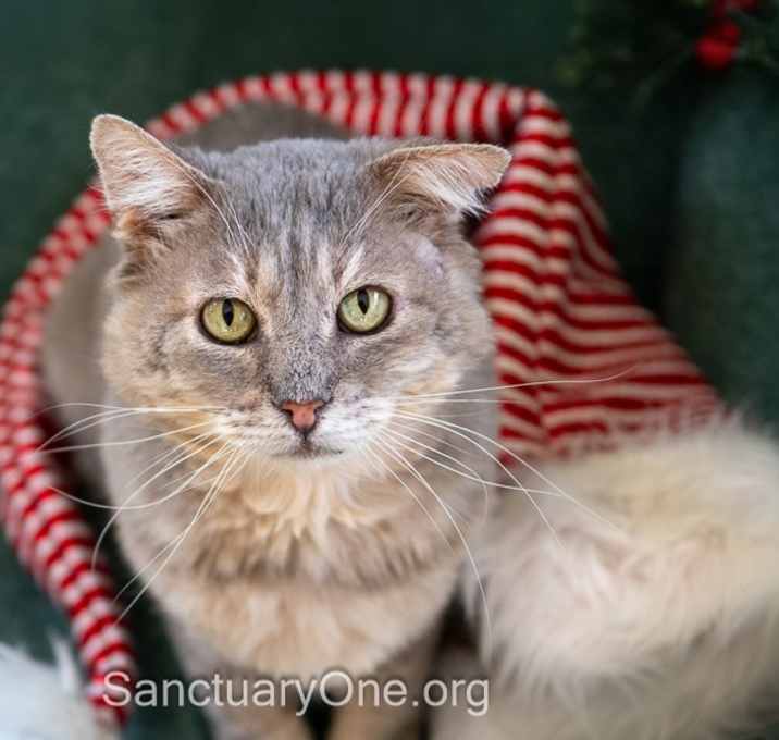 Photo of Zeke