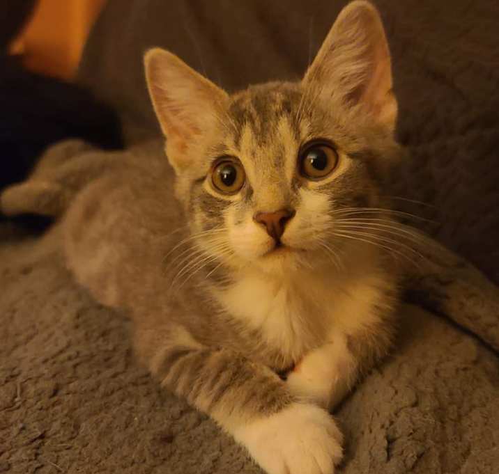 Photo of Celeste