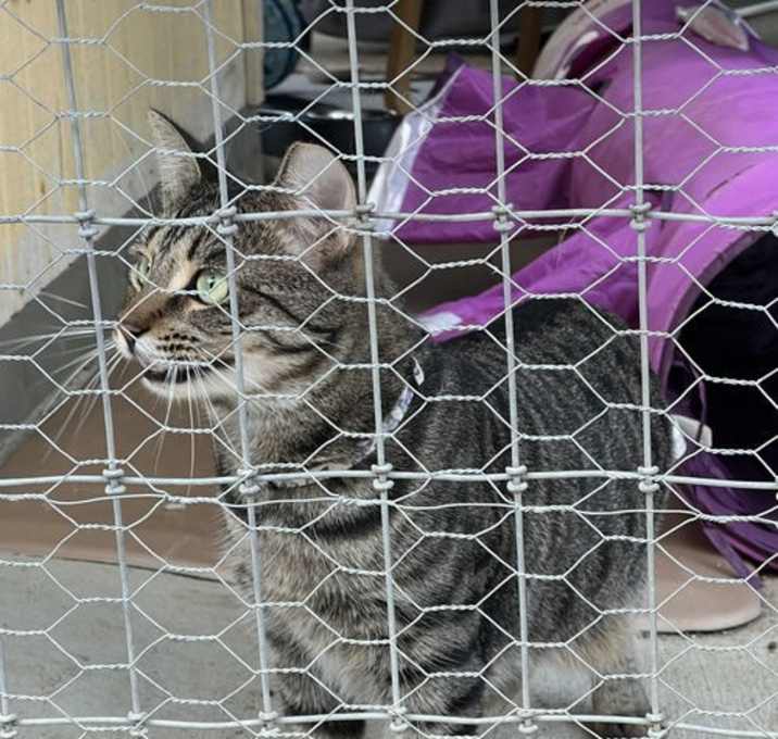 Photo of Sally