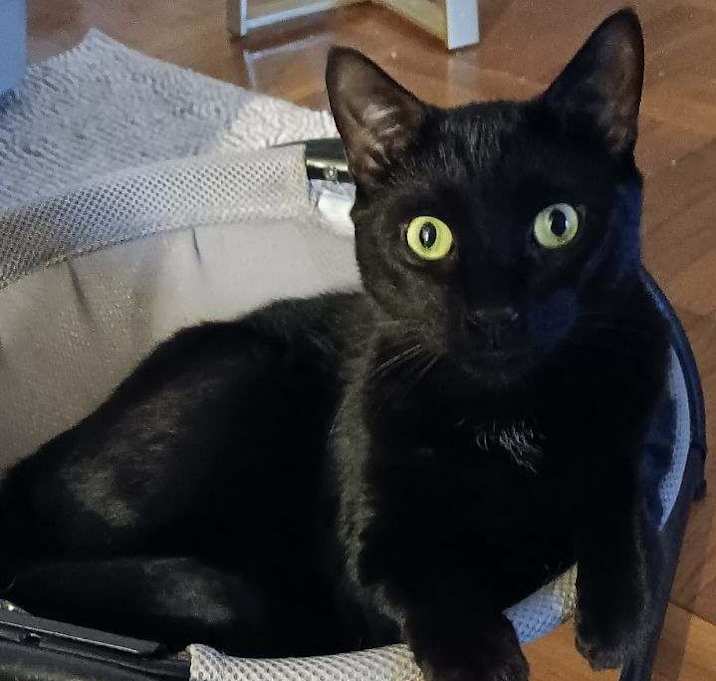 Photo of Charlie