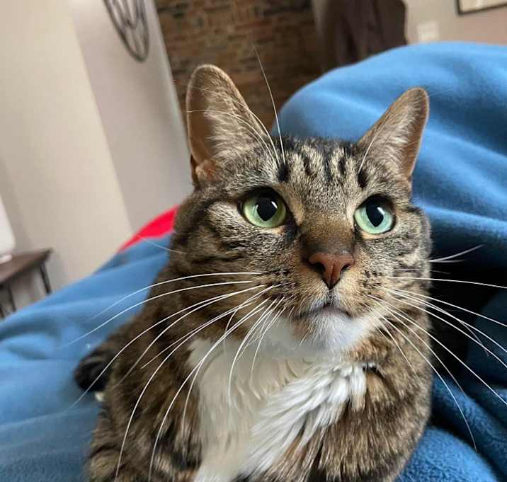 Photo of Izzy