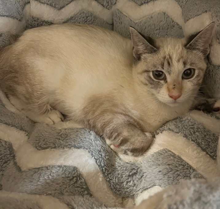 Photo of Sophia
