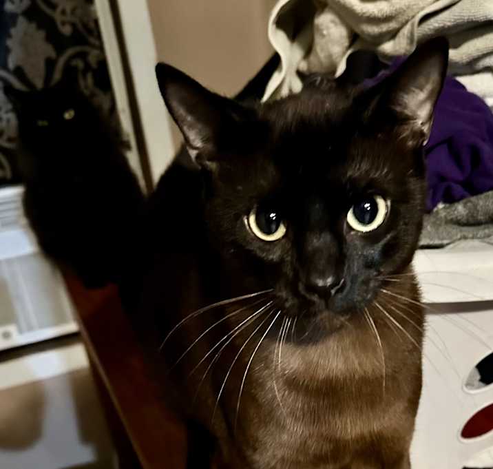 Photo of Jasper
