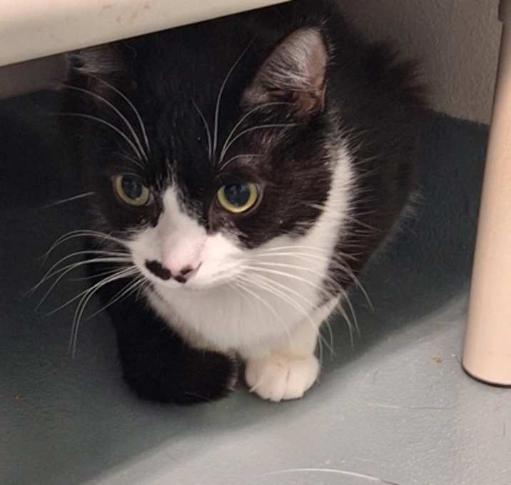 Photo of Timothy