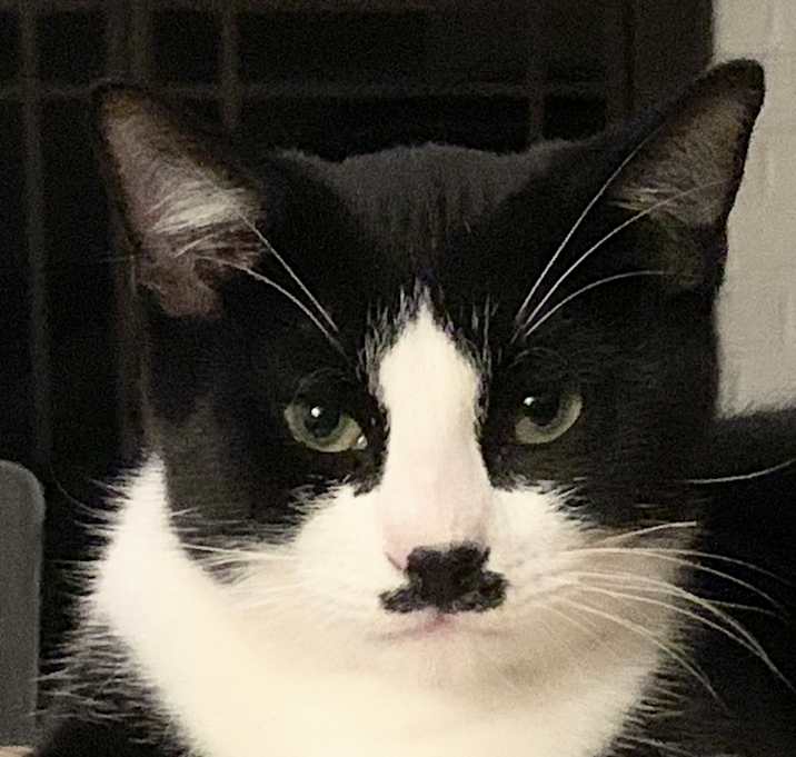 Photo of Charlie