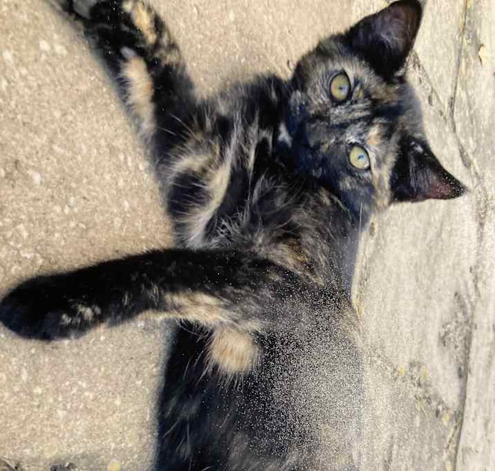 Photo of Holly