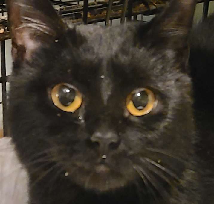 Photo of Sugar