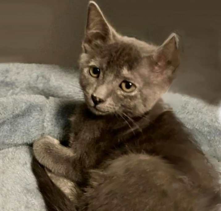 Photo of Astrid