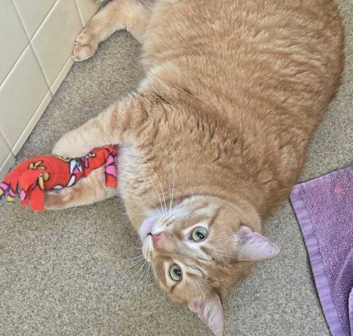 Photo of Jack