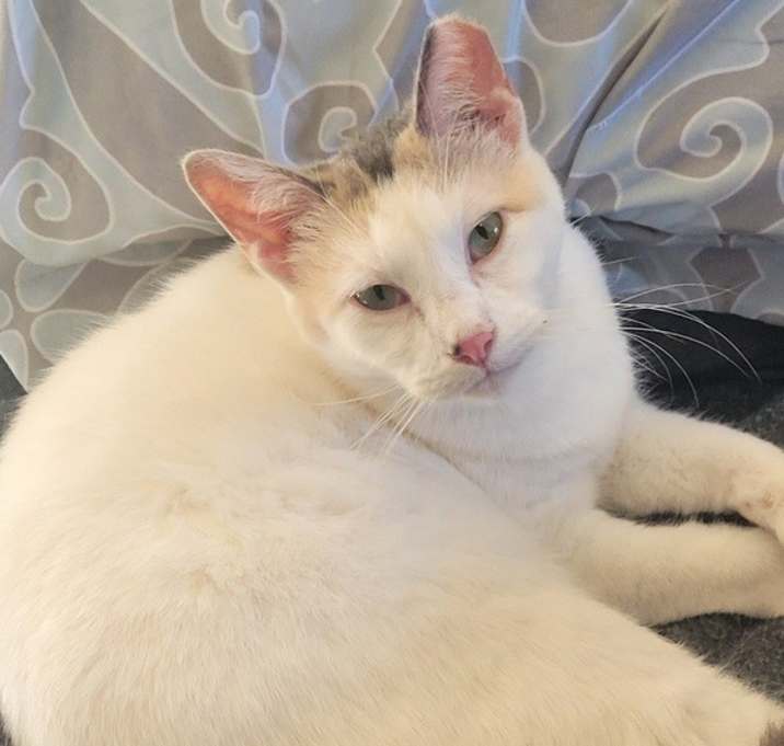 Photo of Moira