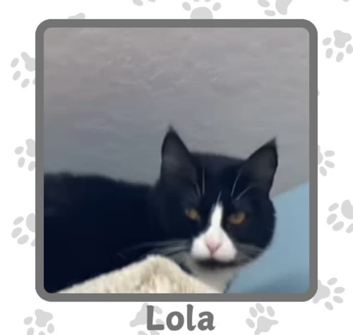 Photo of Lola