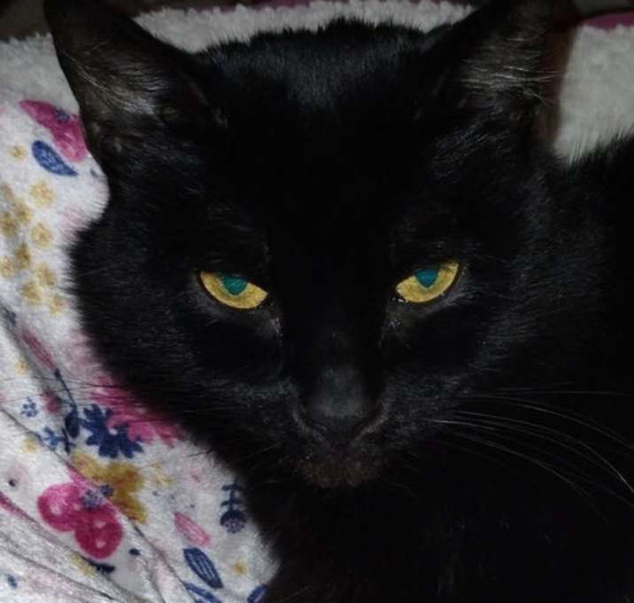 Photo of princess