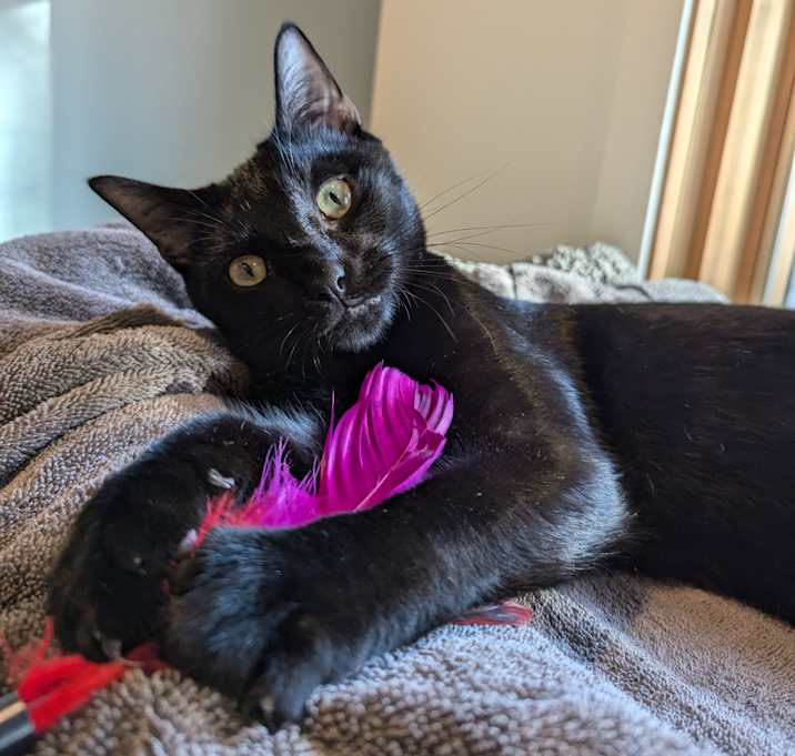 Photo of Paco