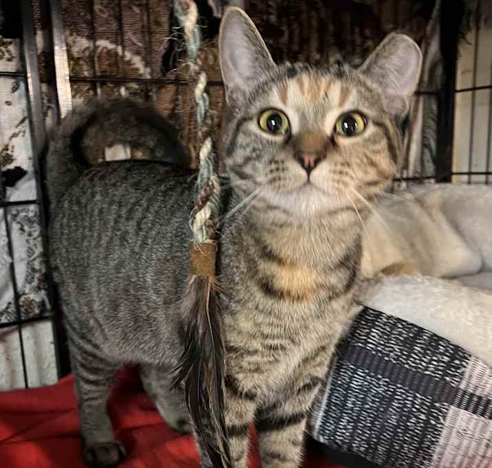 Photo of Mabel