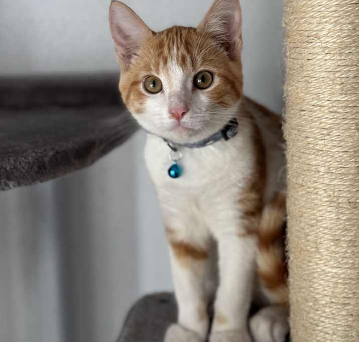 Photo of Ralphie