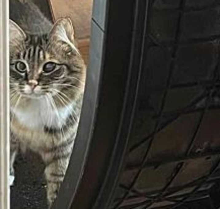 Photo of Fetty