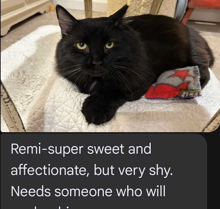 Photo of Remi