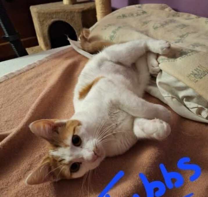 Photo of Tubbs
