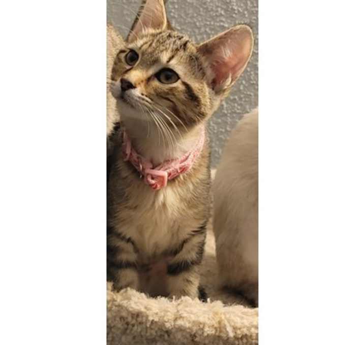 Photo of Haley