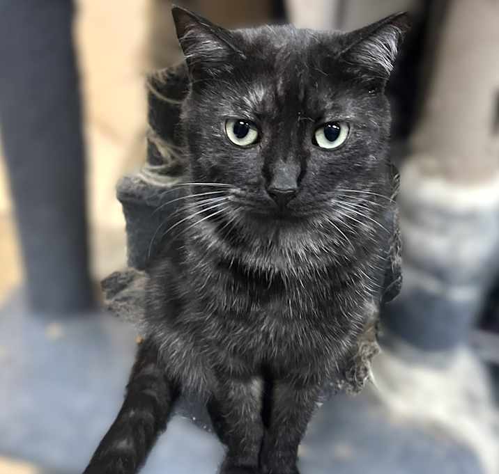Photo of Marbles