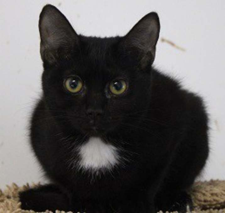 Photo of Isadora