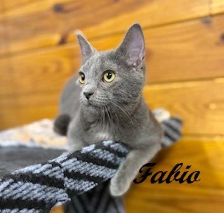 Photo of Fabio