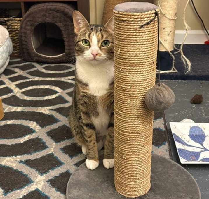 Photo of Janet 0403