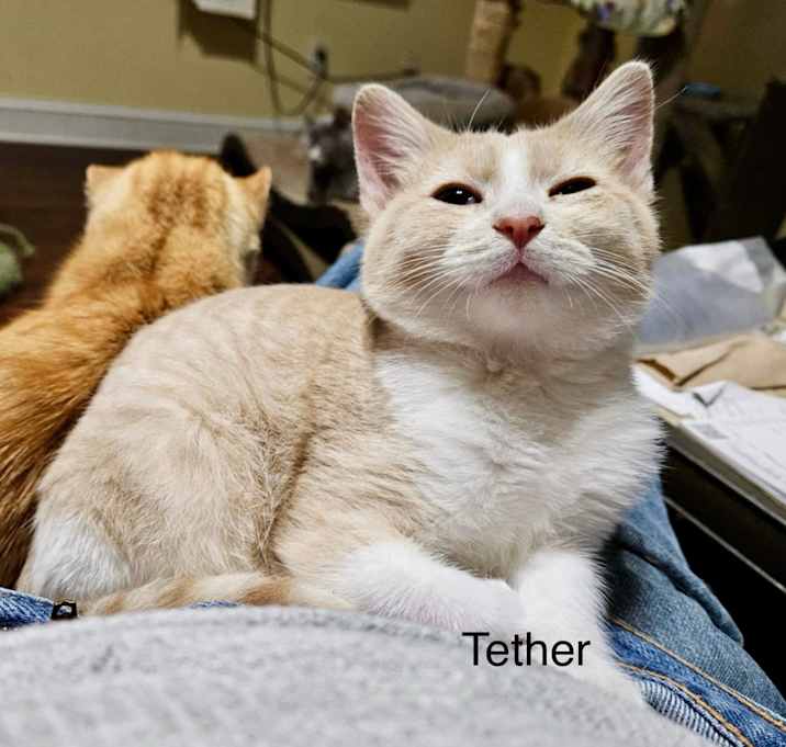 Photo of Tether
