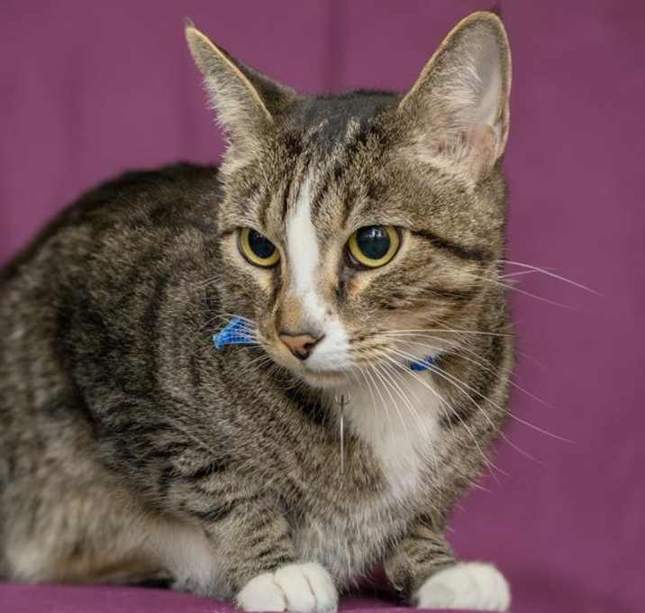 Photo of OTIS