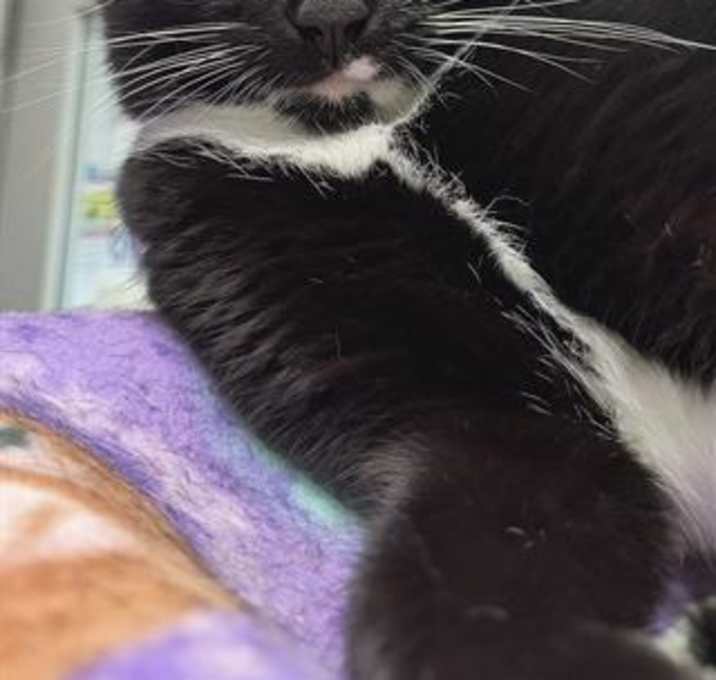 Photo of XENA
