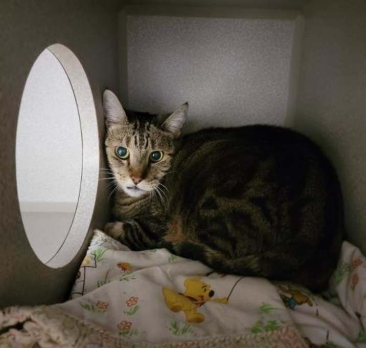 Photo of MINDY