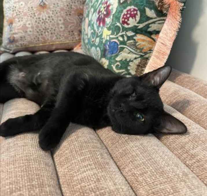 Photo of CHARLOTTE