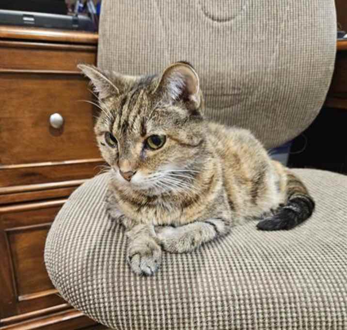 Photo of CASEY