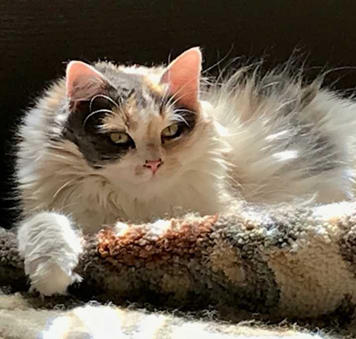 Photo of Chloe