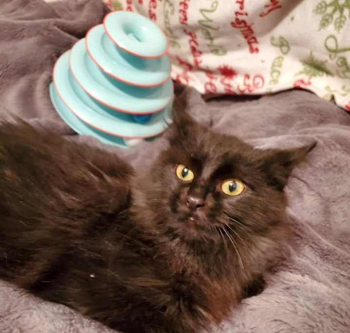 Photo of Olaf