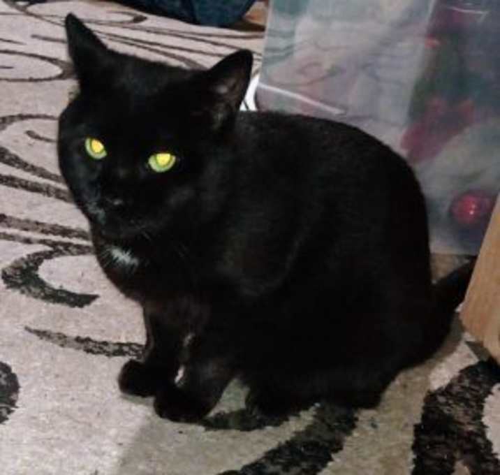 Photo of Gunny