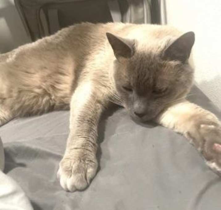 Photo of Horton
