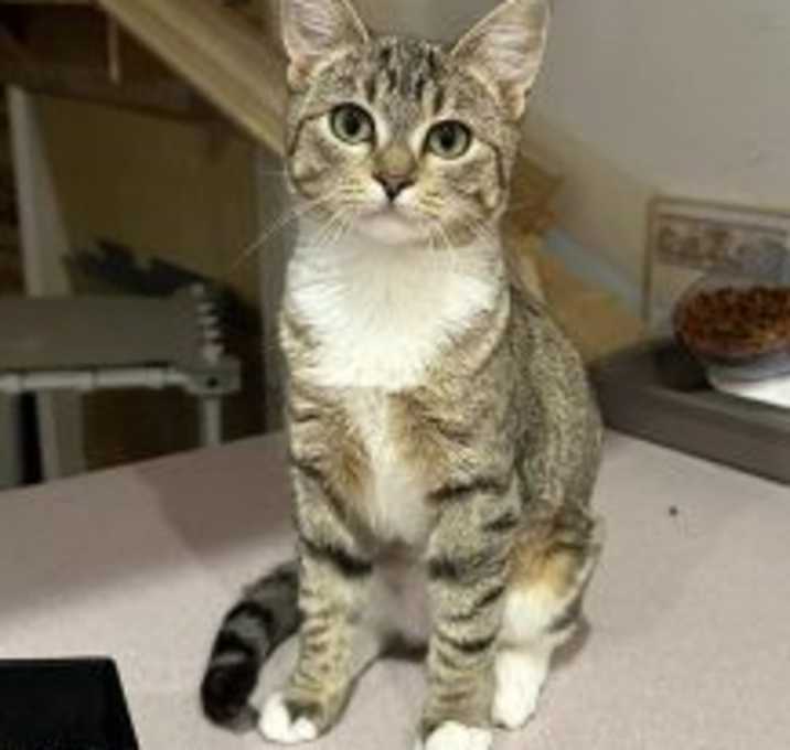 Photo of Rascal