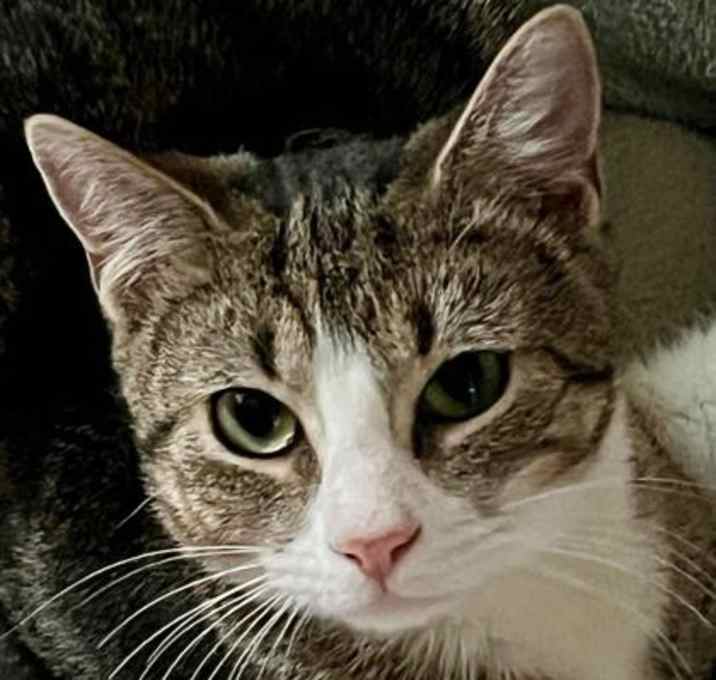 Photo of Fiona