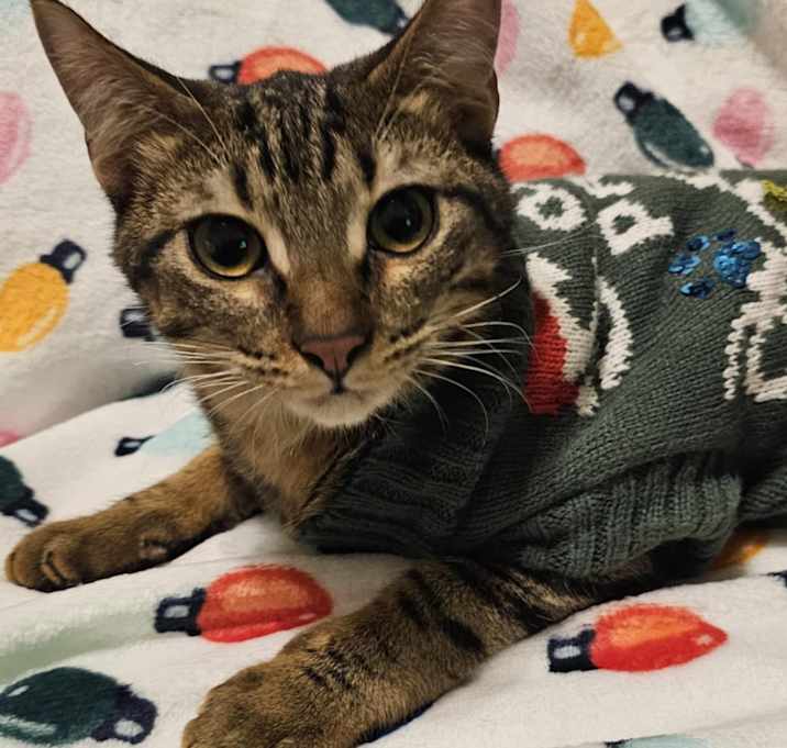 Photo of Kevin