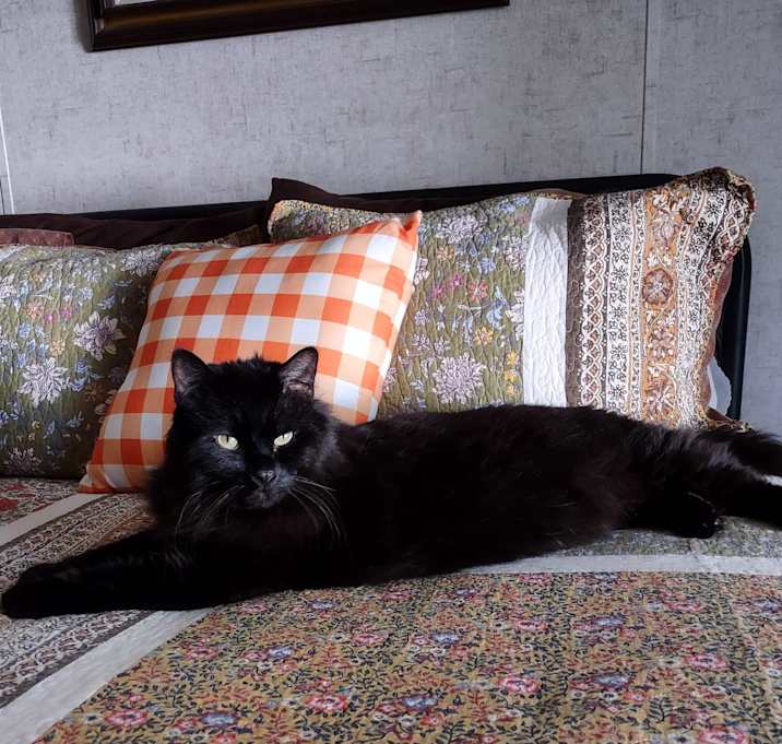 Photo of Bentley