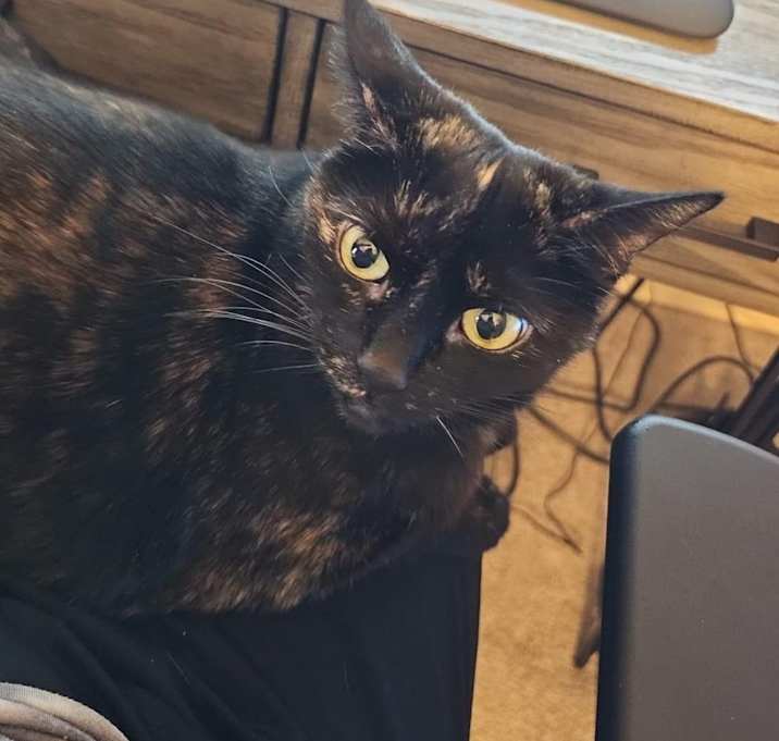 Photo of Stormy