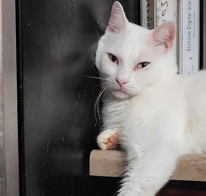 Photo of Tommy