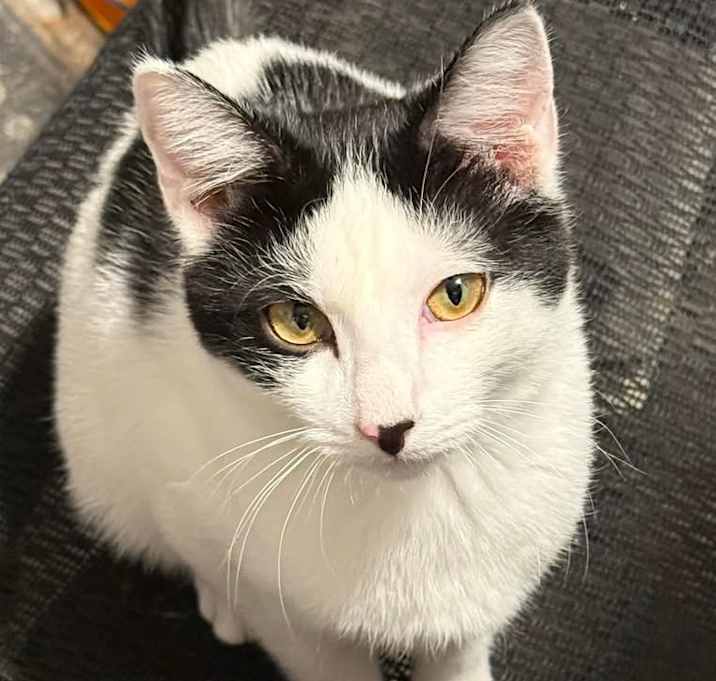 Photo of Cletus