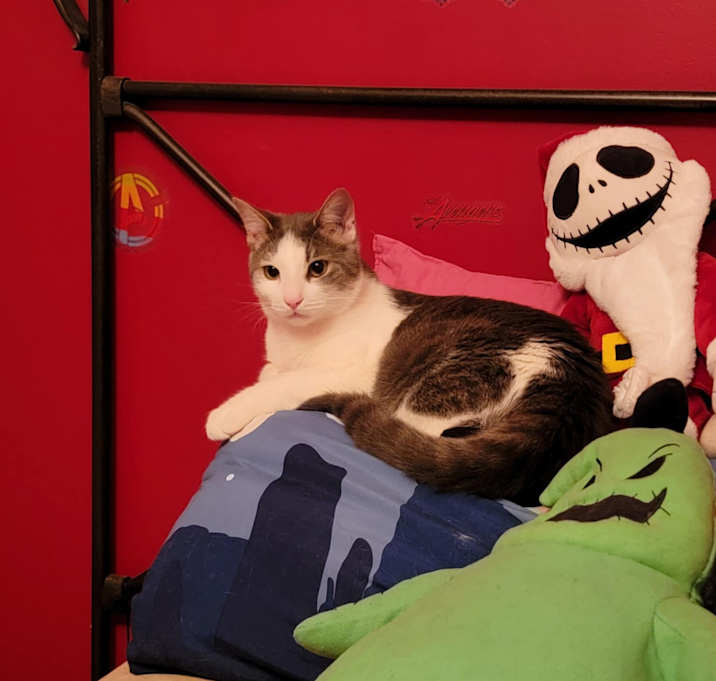 Photo of Frank