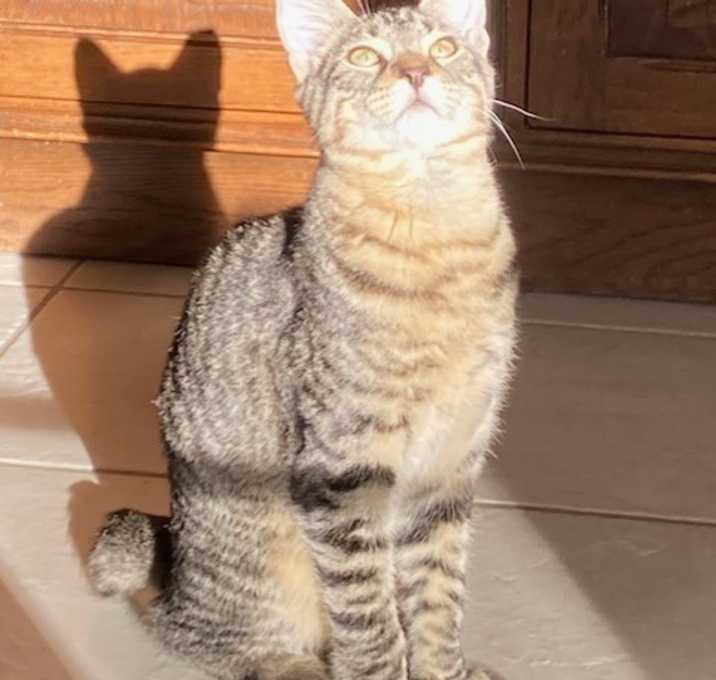 Photo of Marble