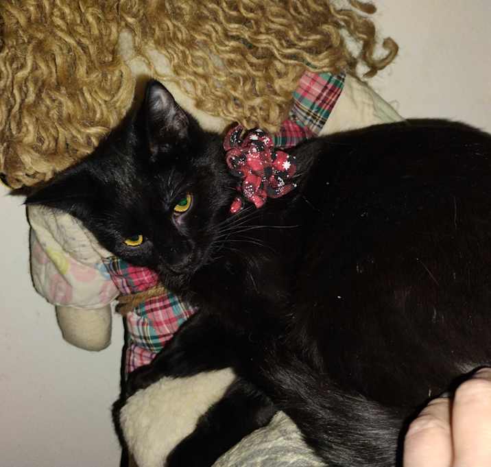 Photo of Zoltan