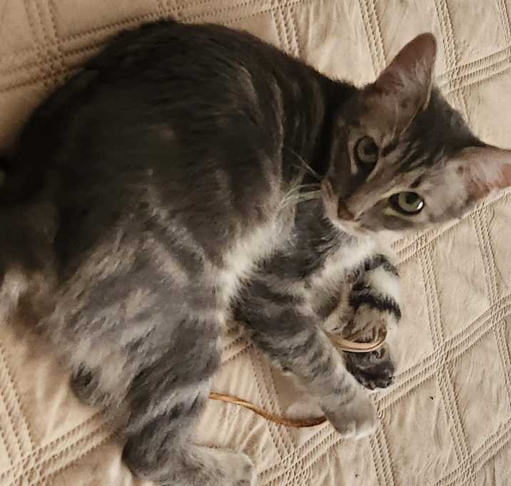 Photo of Spirit