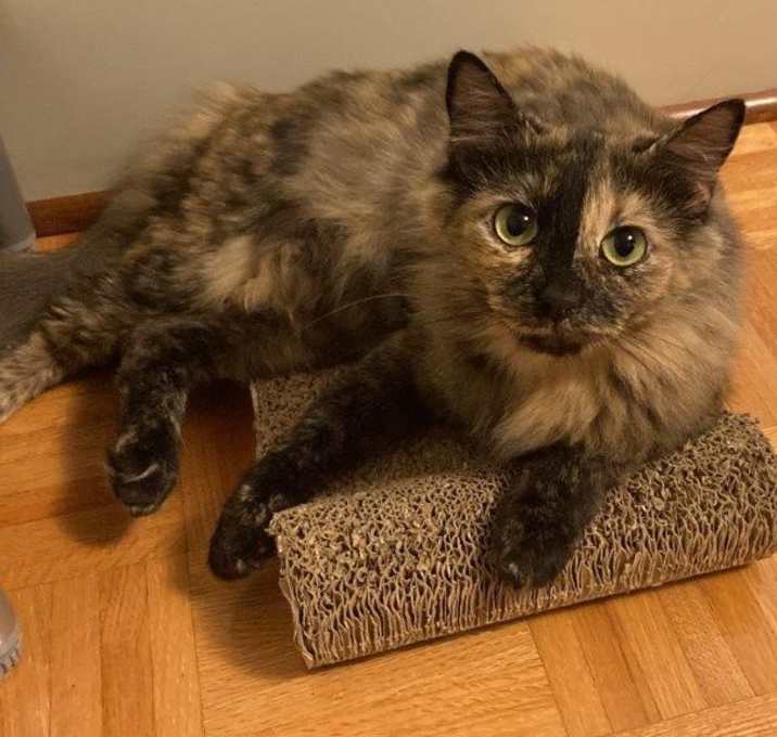 Photo of Zoe